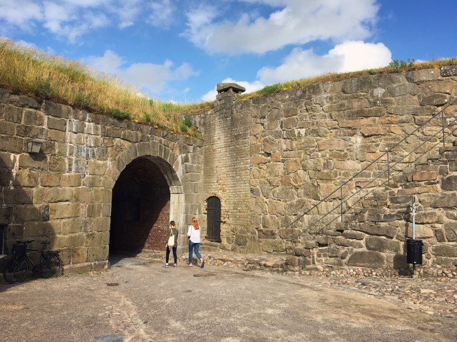 36fca487-86b4-4e05-9804-b5e5cb6a3a52