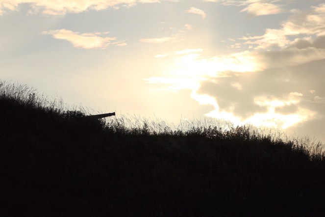 85a1ce84-7ecd-4395-a29d-e0f1d677c5d1