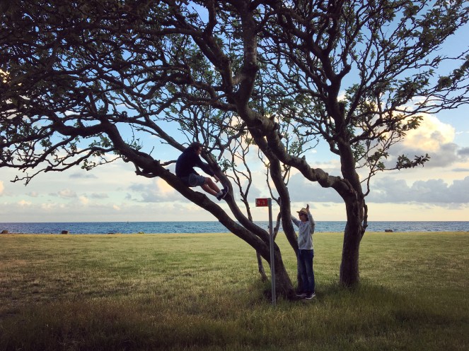 dd278c41-cb98-4d1c-b82d-1da0452fc533