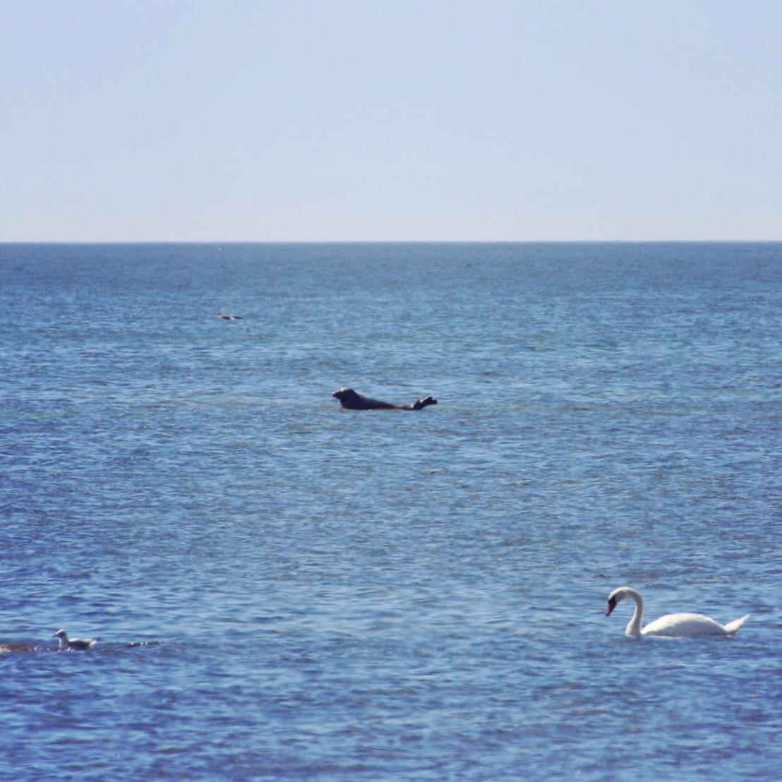 ff831b3f-e802-4d17-a2d9-2bc0d78152b1