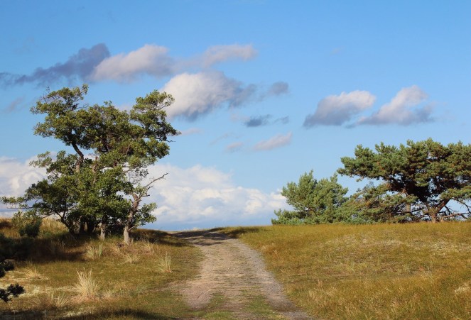 5f4ee1e5-4072-402e-99a5-71d641a7ca07