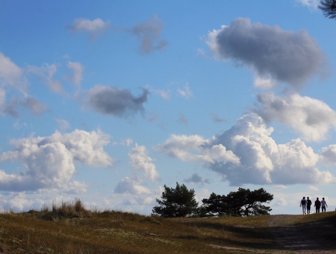 a0e7950d-d6ef-4ead-8826-0b68fd7ec724