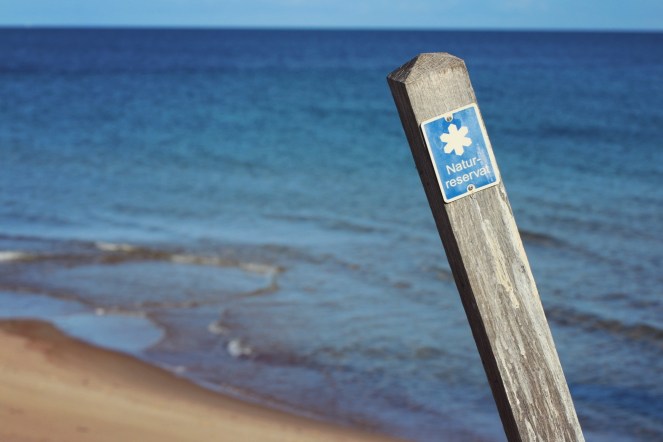 e8af2361-c145-400a-b0f0-c10479b35407